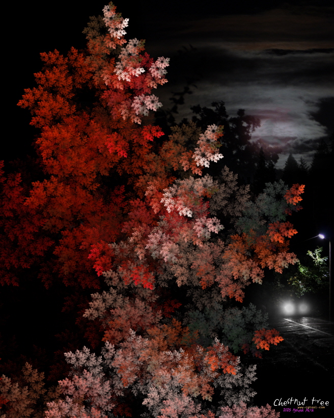 밤나무4.jpg